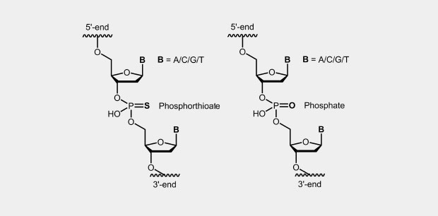 Phosphothioat oligonucleotide (PTO)
