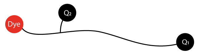 DoubleQuenches Probe mit dem Fluorophor Fam und dem Quencher BMN-Q530 (intern und terminal)