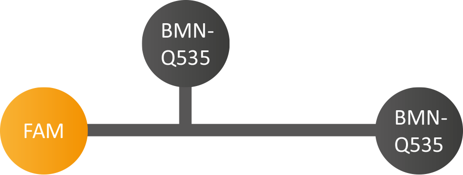 DoubleQuenches Probe mit dem Fluorophor Fam und dem Quencher BMN-Q530 (intern und terminal)