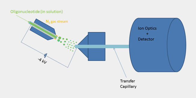 schematical picture of ESI-MS