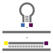 Molecular Beacon