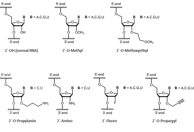 2´-modified RNA