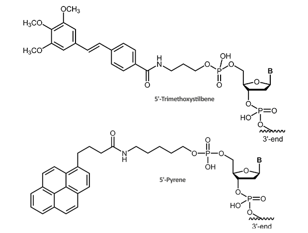 5'-Trimethoxystilbene, 5´-Pyrene