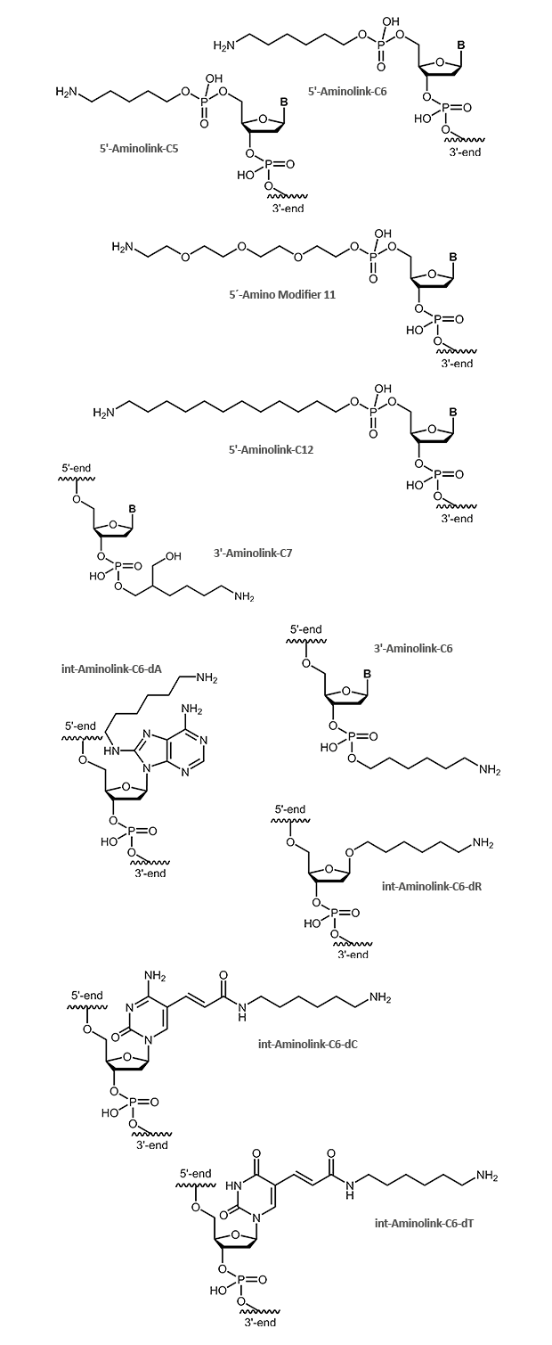 Amino Linker unterschiedlicher Länge am 3´- oder 5´-Terminus eines Oligonucleotids