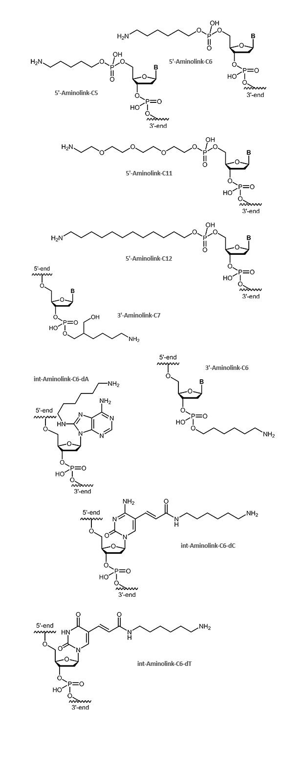 Amino link at the 3´- or 5´-Terminus of an oligonucleotide