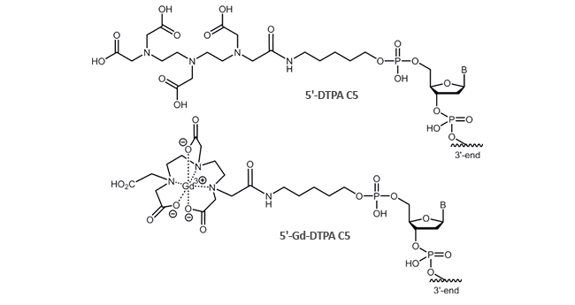 Biomers Net Chelate Complex Modifications Biomers Net Oligonucleotides