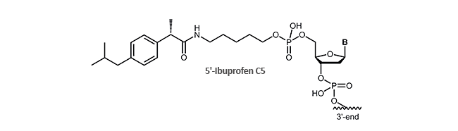 Antisense Oligonucleotide und Aptamere mit Ibuprofen am 5´- oder 3´-Ende 