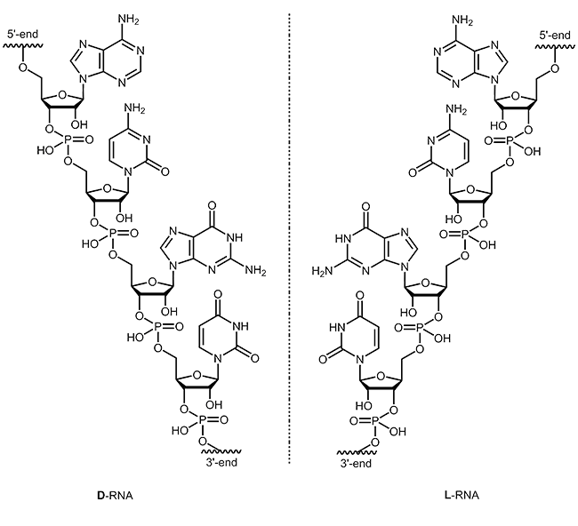 L-RNA