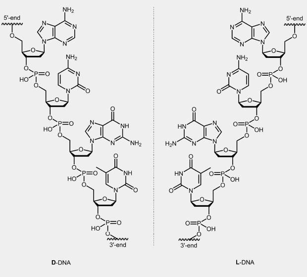 L-DNA