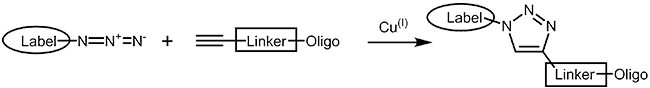 kupferkatalysierte Click Chemie