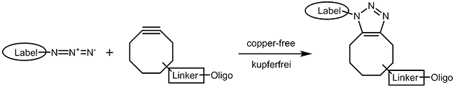 copper free click chemistry