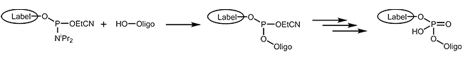 Coupling a phosphoamidite during oligo synthesis