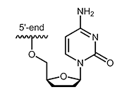 dideoxy nucleotide 3´-ddC