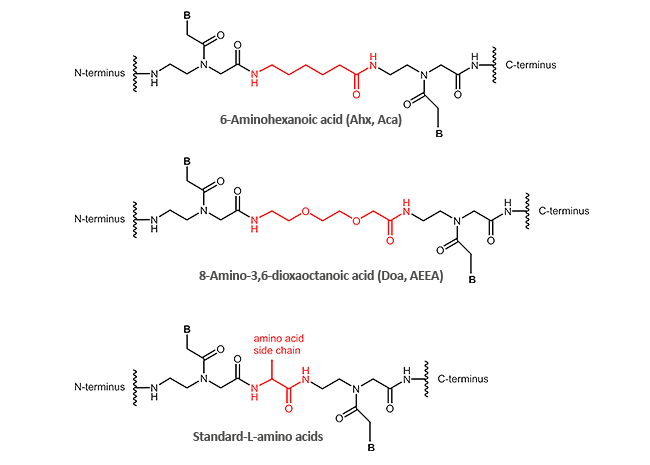 N-/C-terminal and internal modifications