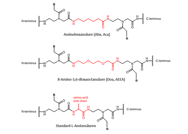 N-/C-terminal and internal modifications