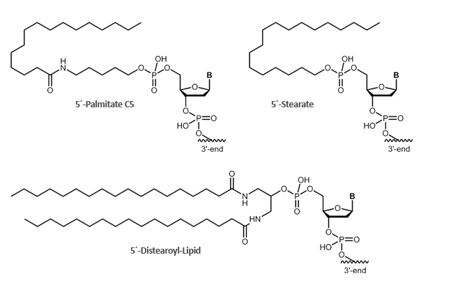 5´-Stearat, 5´-Palmitat und Distearoyl-Lipid