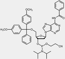 2´-desoxy-Adenosin-Phosphoamidit