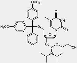 2'-desoxy-Thymidin-Phosphoramidit