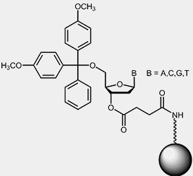 starting nucleotide