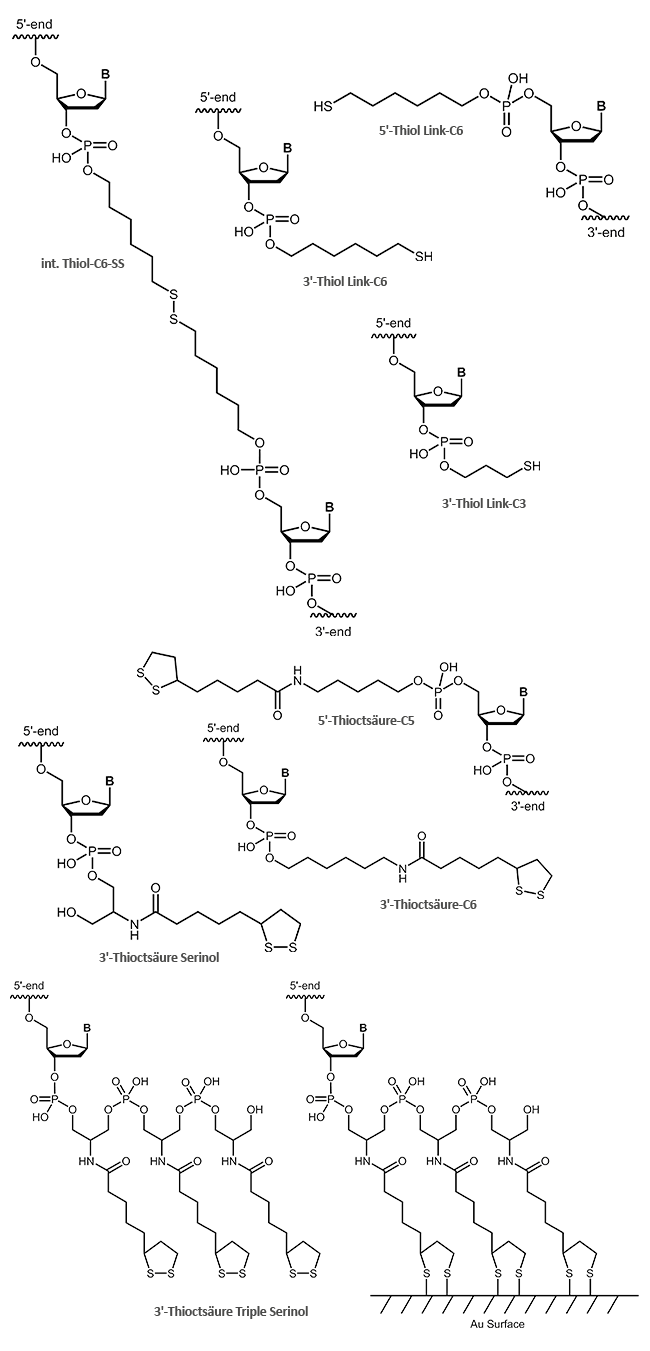 Thiol and Maleimide