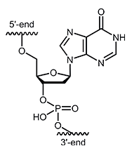 Desoxyinosin dI