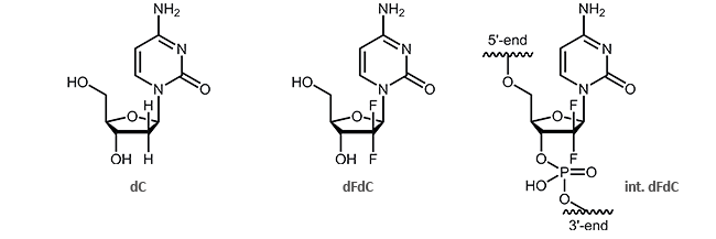 oligonucleotides with the cytostatic drug gemcitabine dFdC as an internal modification