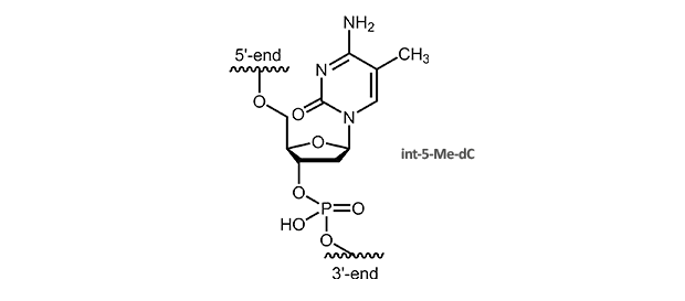 5-Methyl-deoxycytidine (5-Me-dC)