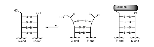 5'-Trimethoxystilbene cap