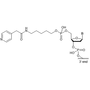 4-Pyridinessigsäure C5 5'-Modifikation: 5'-Pyridinessigsäure C5