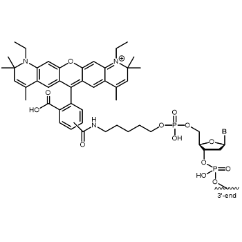 Atto 590 5'-Modifikation: 5´-Atto 590