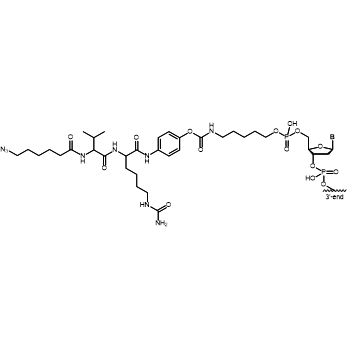 Azido-C6-Val-Cit-PAB 5'-Modifikation: 5'-Azido-C6-Val-Cit-PAB