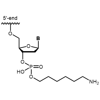 Aminolink C6 3'-Modifikation: 3´-Aminolink C6