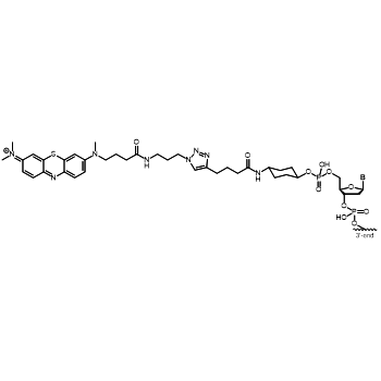 Methylenblau (BMN-MB) (c) 5'-Modifikation: 5'-Methylenblau (BMN-MB) (c)