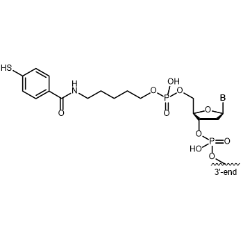 Mercaptobenzoat 5'-Modifikation: 5'-Mercaptobenzoat