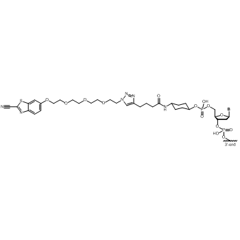 Cyanobenzothiazole ACH (c) 5' modification: 5'-2-Cyanobanzothiazole ACH (c)