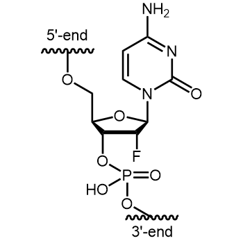 2'-Fluoro-dC (2'-F-dC) Internal modification: 2'-Fluoro-dC