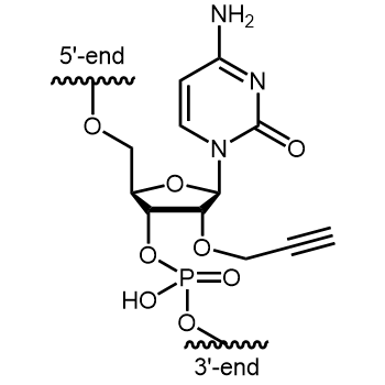2'-O-Propargyl-C Internal modification: 2'-O-Propargyl-C