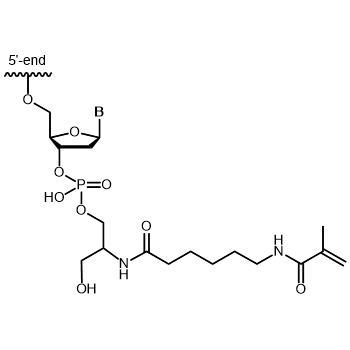 Acrydite (Methacrylate) Ser 3' modification: 3'-Acrydite (Methacrylate) Ser