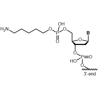 Aminolink C5 5' modification: 5'-Aminolink C5