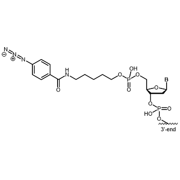Azide (Azidobenzoate) 5' modification: 5´-Azidobenzoate