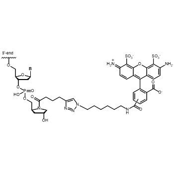 BMN-488 3' modification: 3´-BMN-488