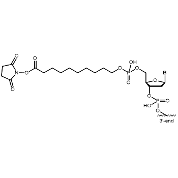 Carboxy Modifier C10 5' modification: 5'-Carboxy-Modifier C10