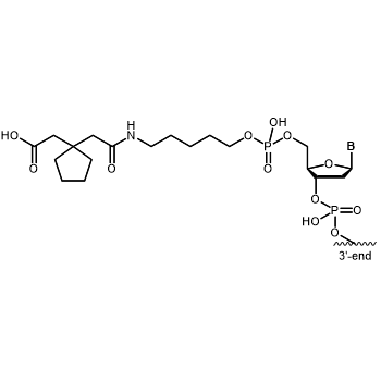 COOH (Cyclopentane diacetic acid) 5' modification: 5'-COOH (Cyclopentane diacetic acid)