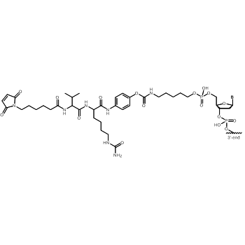 Mc-Val-Cit-PAB 5' modification: 5'-Mc-Val-Cit-PAB