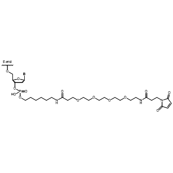 Maleimide-PEG4 3' modification: 3'-Maleimide-PEG4