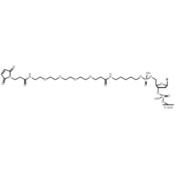Maleimide-PEG4 5' modification: 5'-Maleimide-PEG4