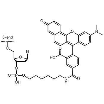 Carboxy-SNARF 3' modification: 3'-Carboxy-SNARF