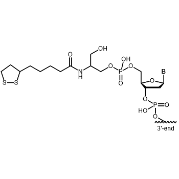 Thioctic Acid Serinol 5' modification: 5´-Thioctic Acid Serinol
