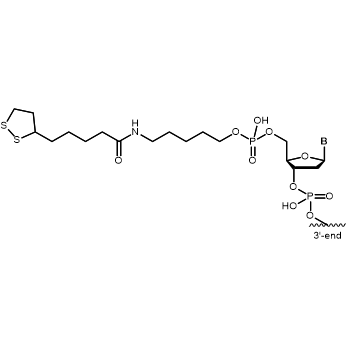 Thioctic Acid 5' modification: 5´-Thioctic Acid